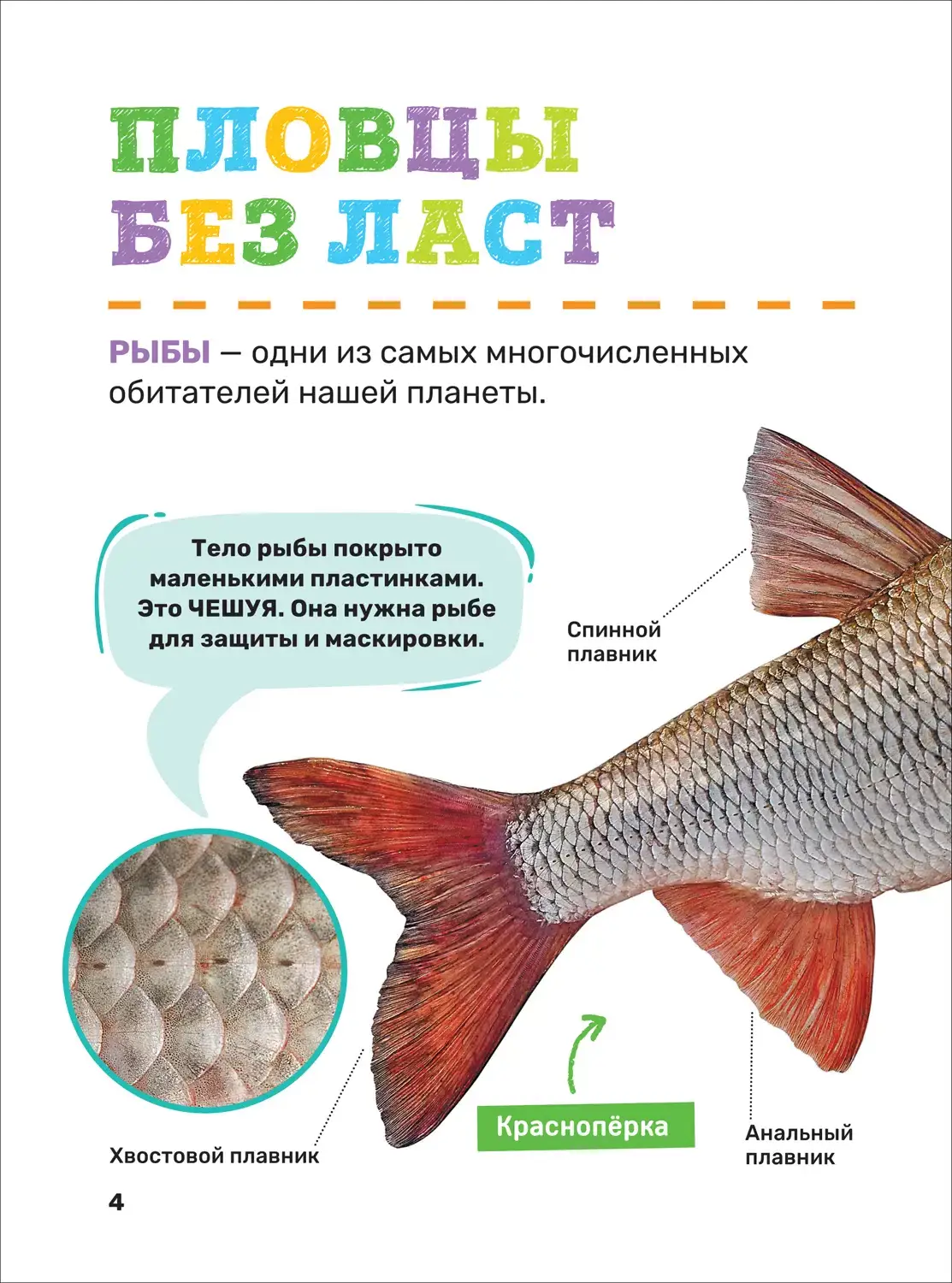 Подводный мир. Первая энциклопедия малыша фото книги 4