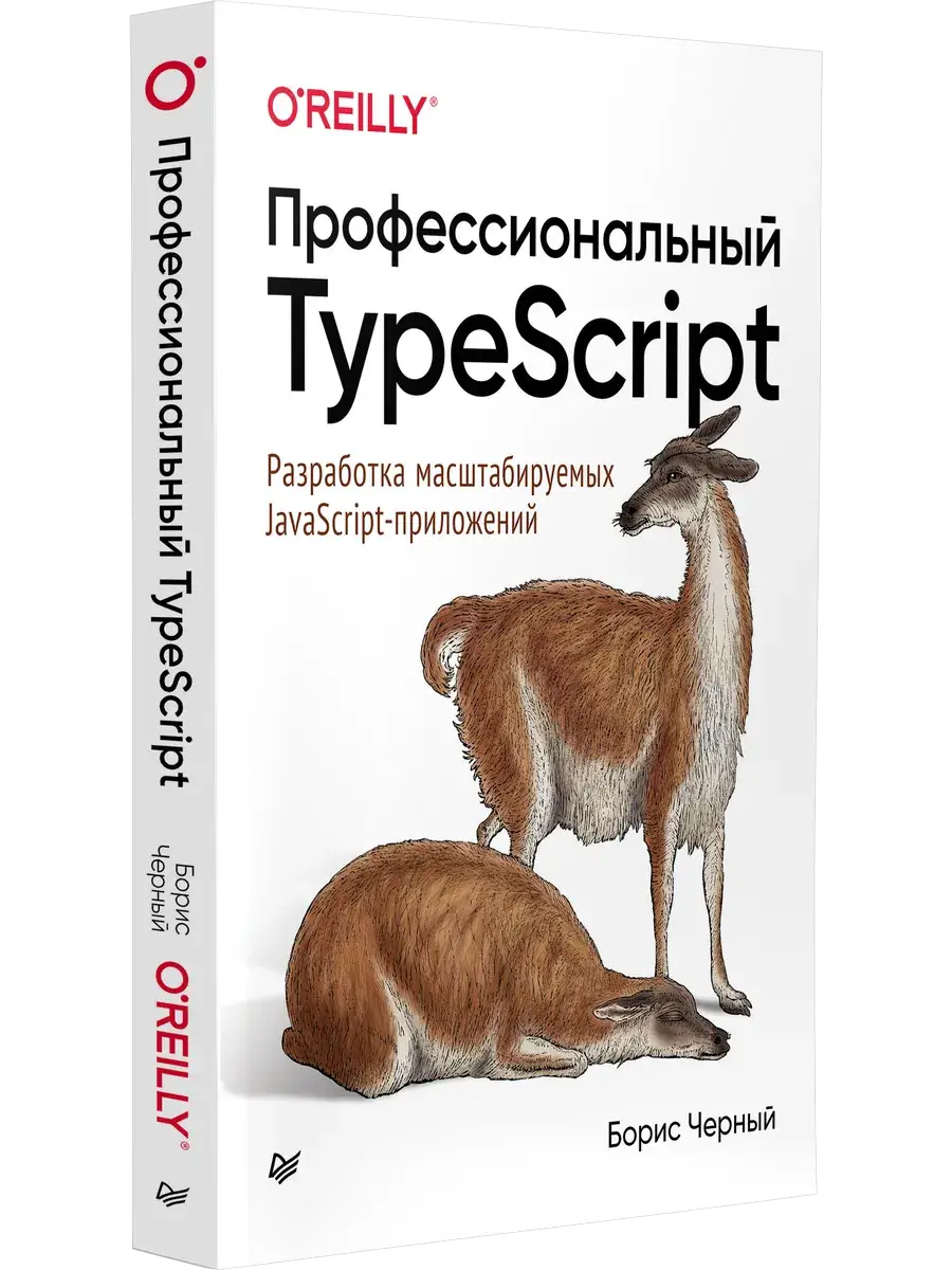 Профессиональный TypeScript. Разработка масштабируемых JavaScript-приложений фото книги 2