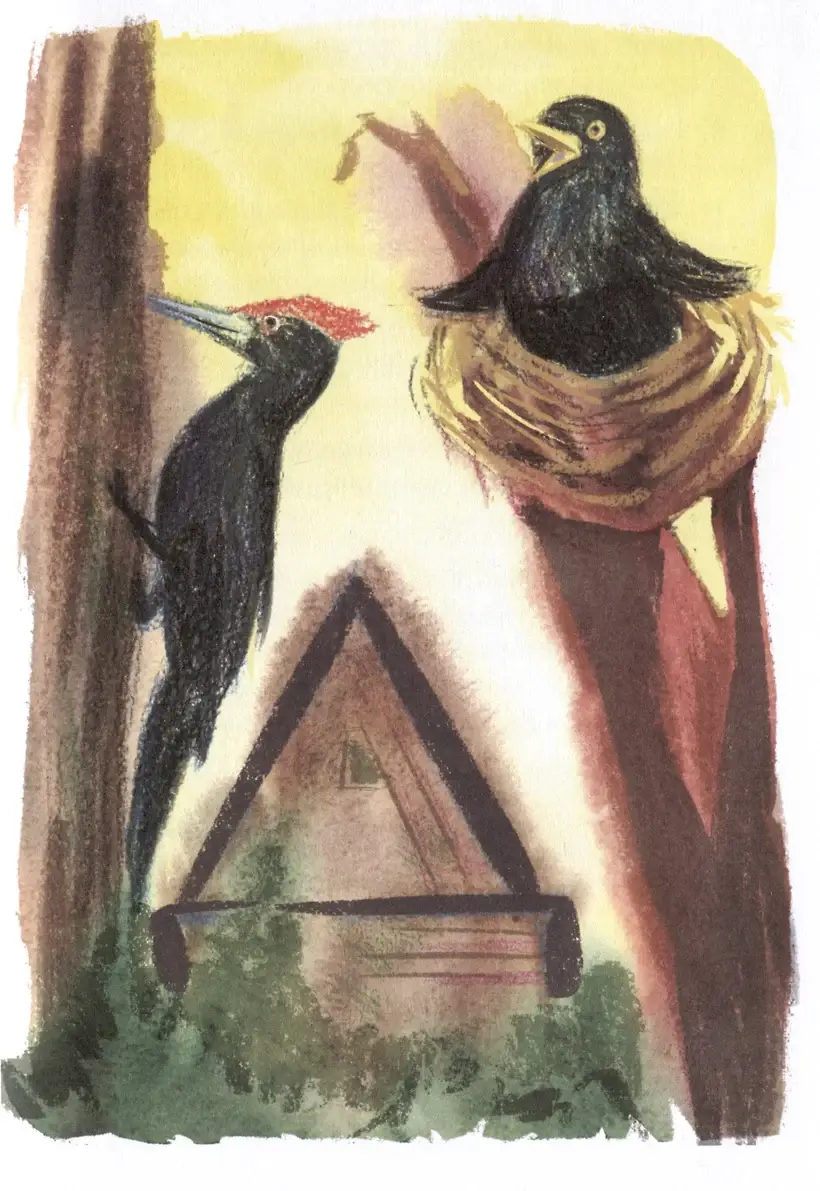 Буквы, спрятанные в сказках: сборник историй для изучения согласных фото книги 5