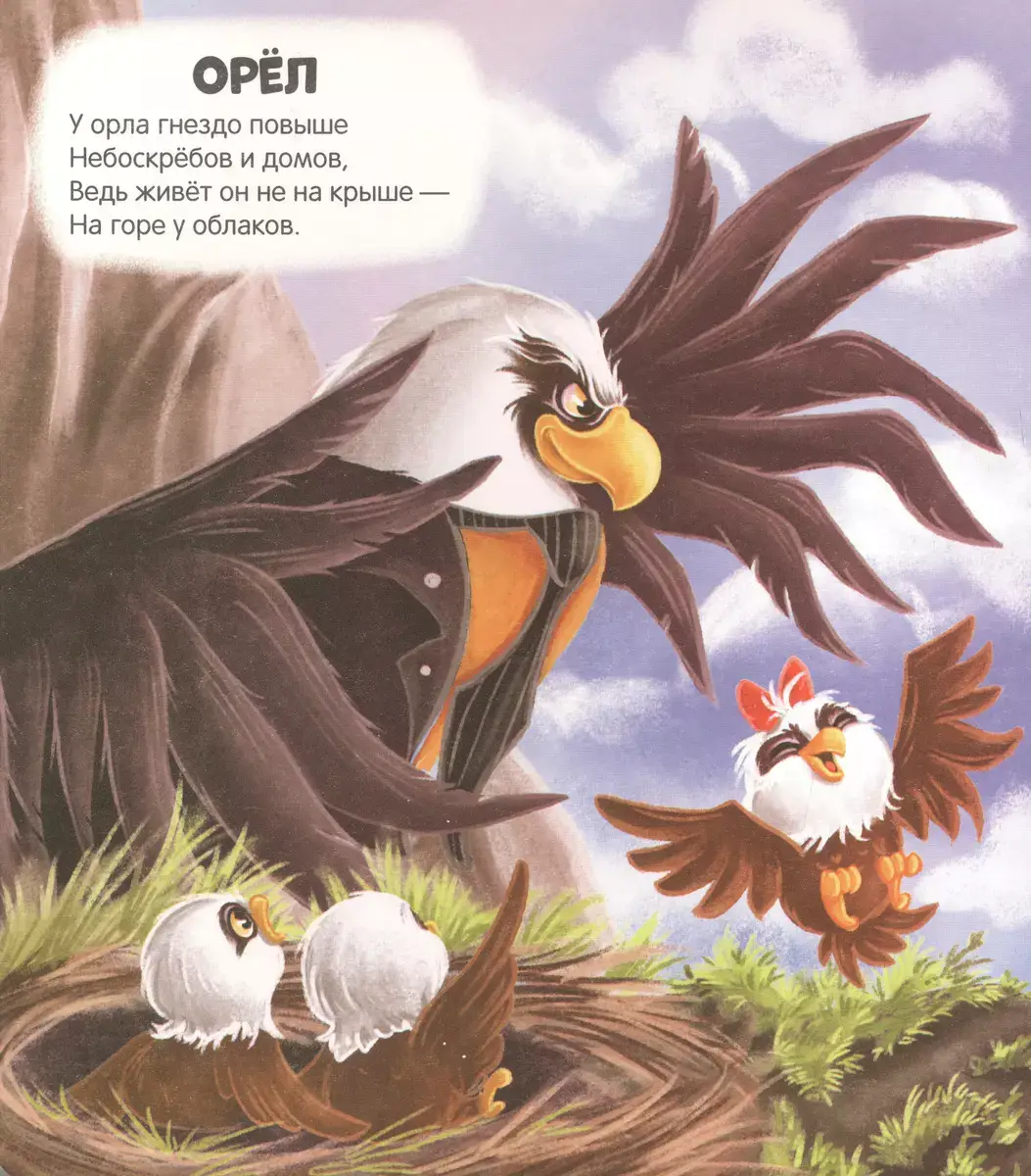 Чудесные превращения. Превращения в природе фото книги 2