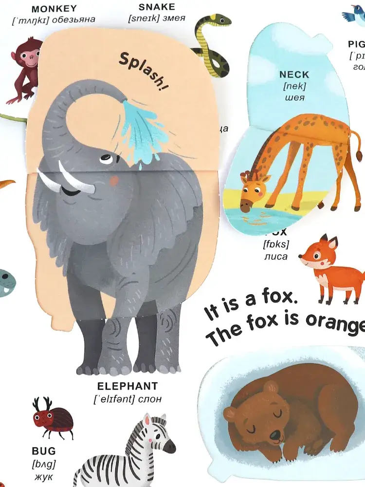 Мой первый словарь. Английские слова фото книги 5