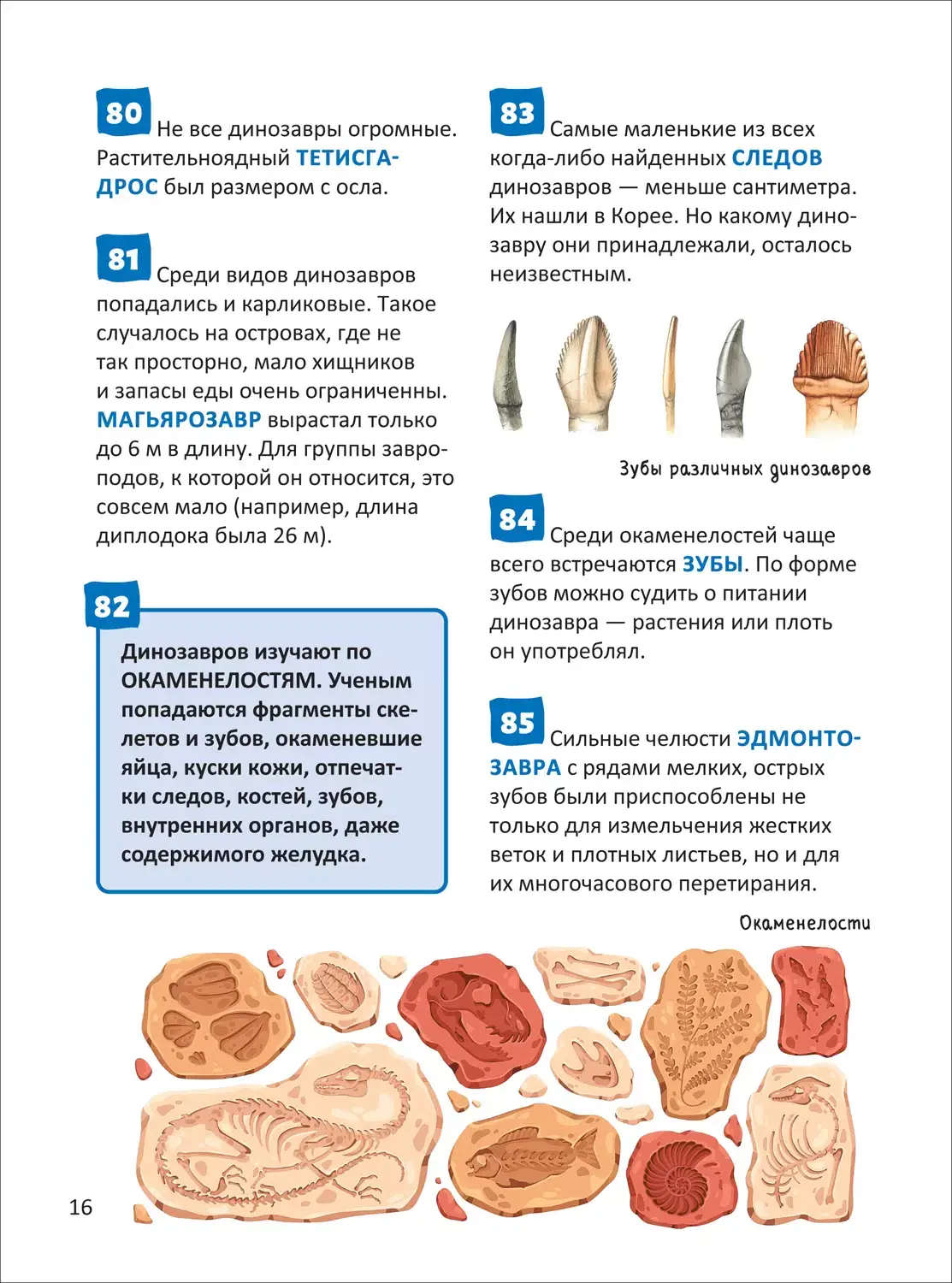 Динозавры. Энциклопедия российского школьника фото книги 4