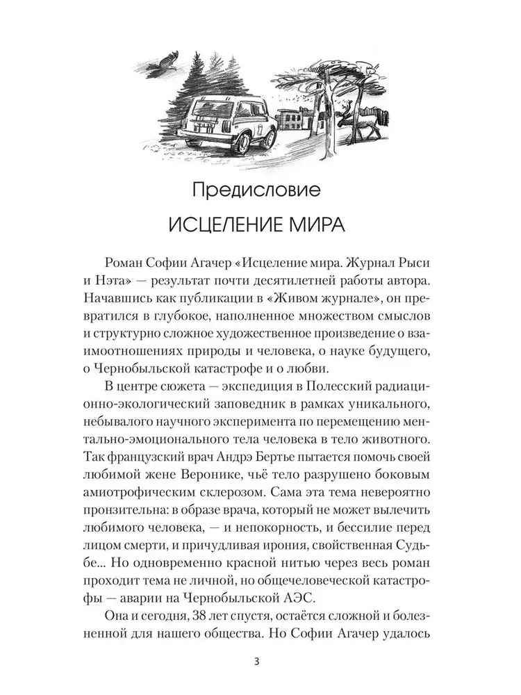 Исцеление мира. Журнал Рыси и Нэта фото книги 3