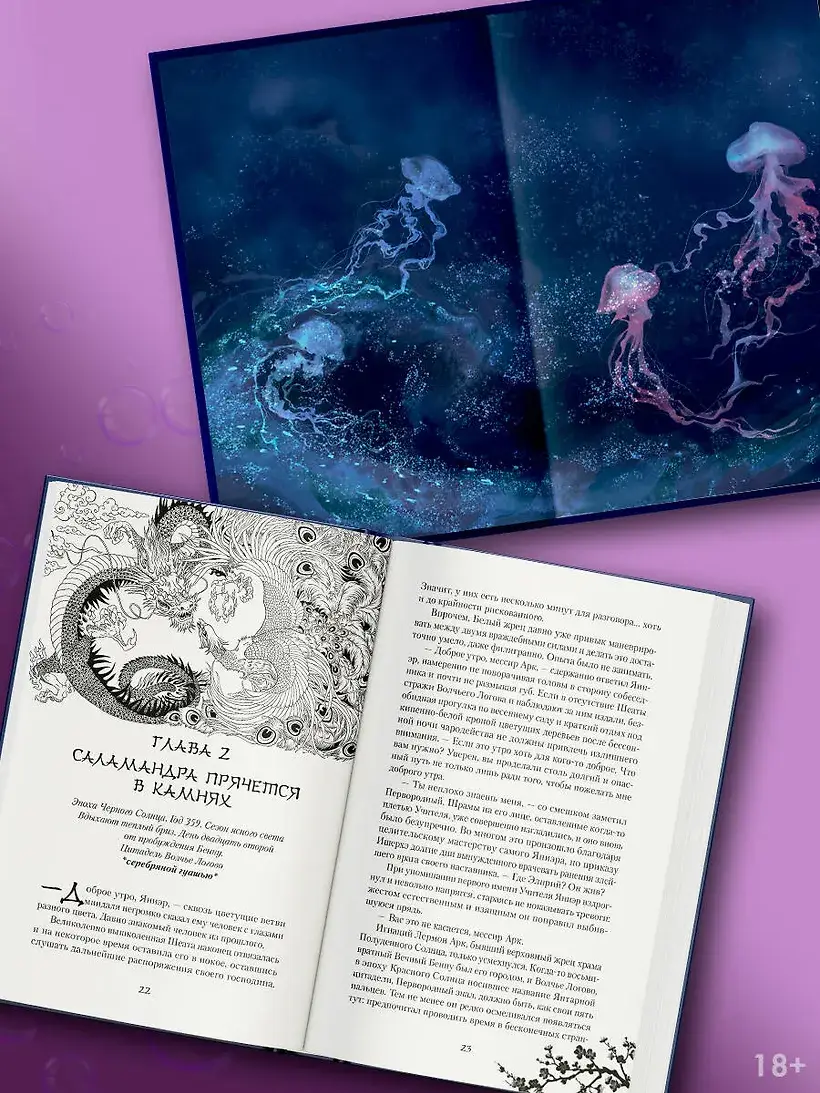 Черное Солнце. За что наказывают учеников фото книги 3