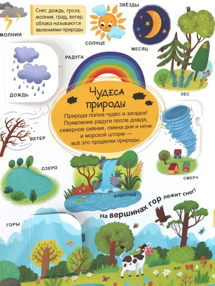 Мой первый словарь. Мир вокруг фото книги 5