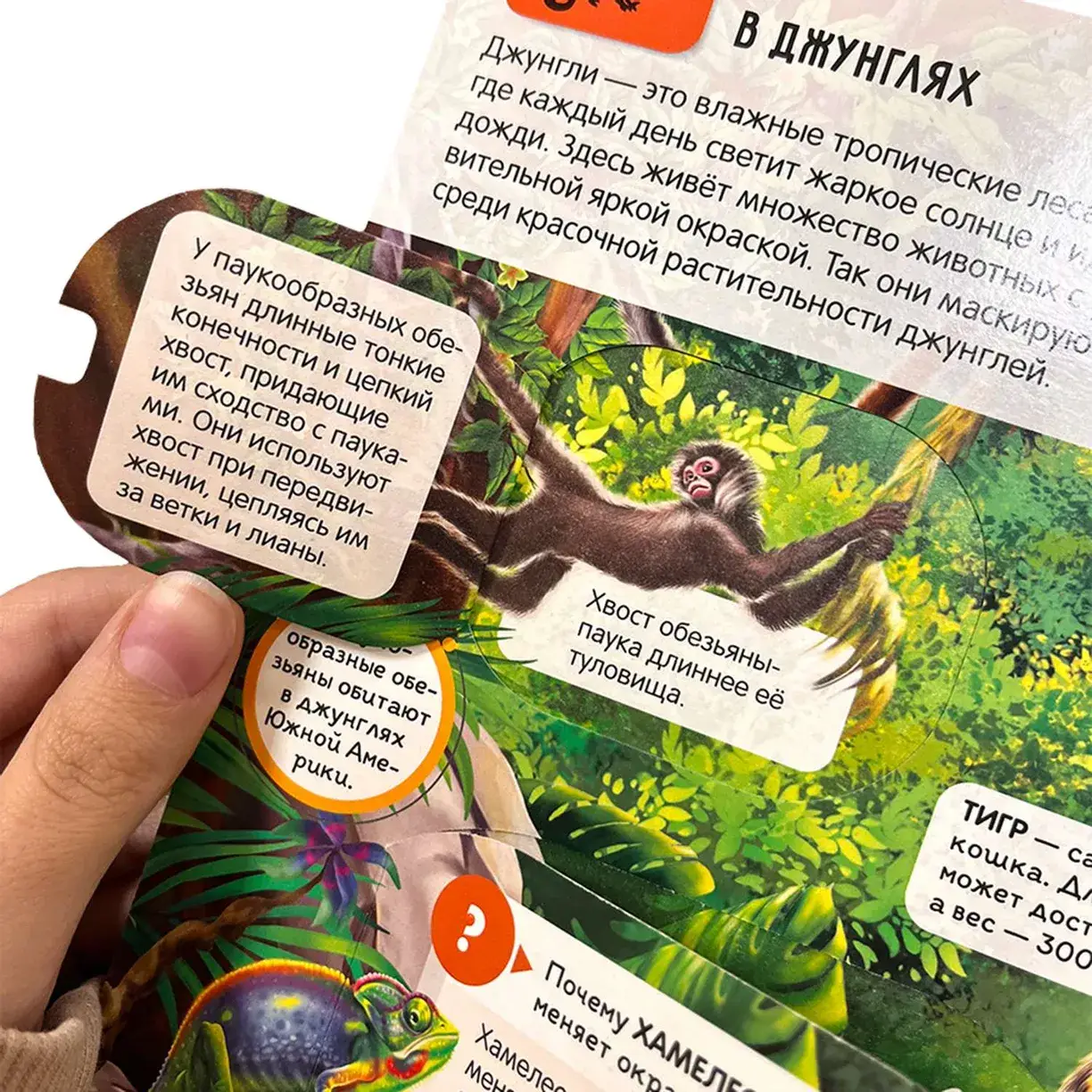 Энциклопедия открытий. Животные фото книги 4