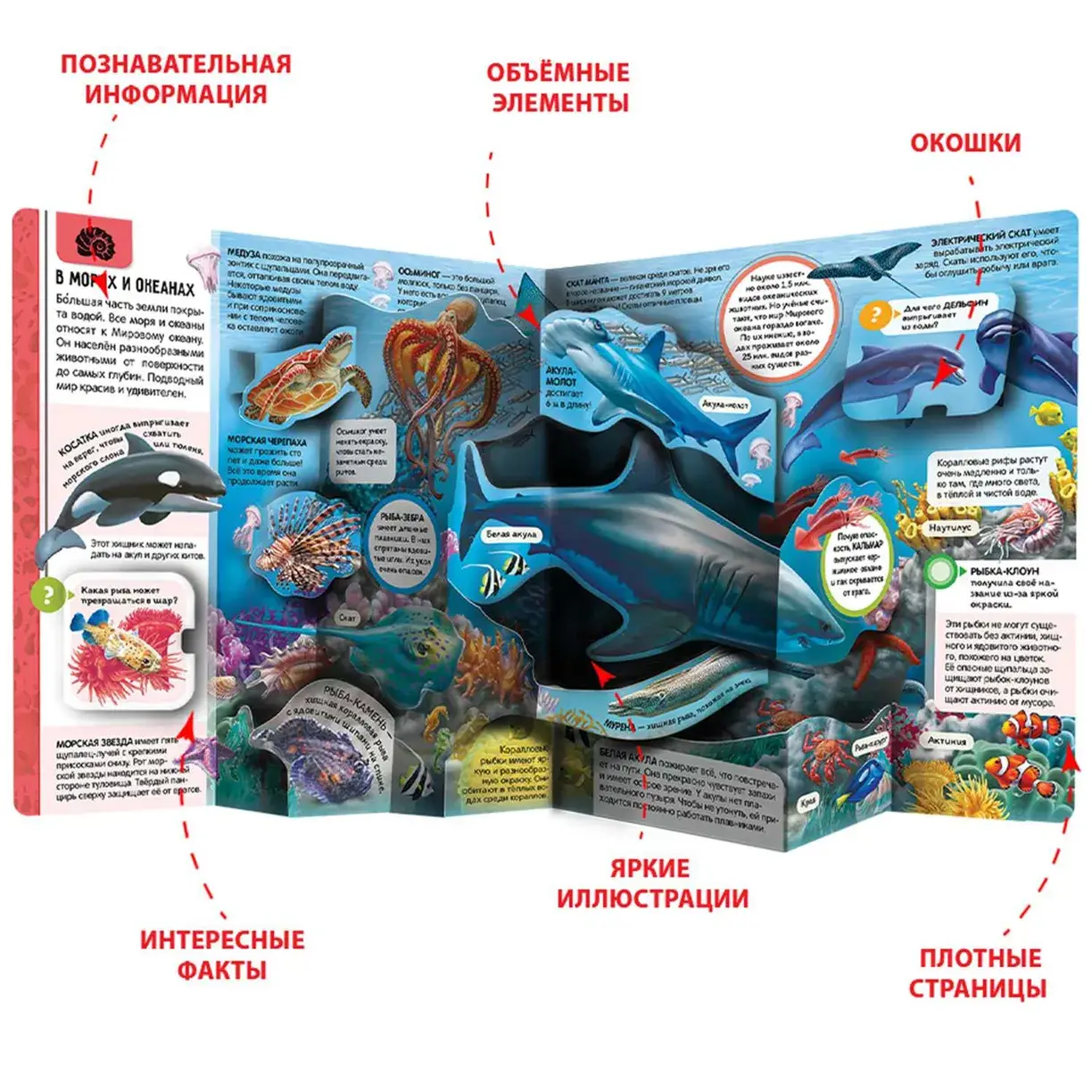 Энциклопедия открытий. Животные фото книги 3