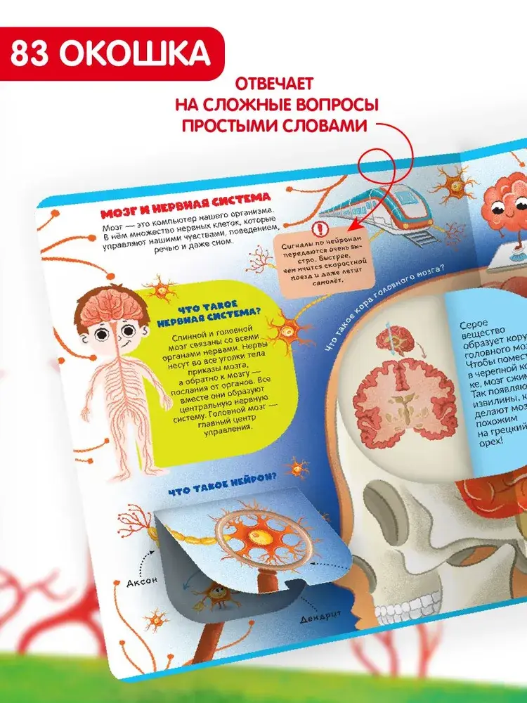 Секреты тела человека фото книги 2