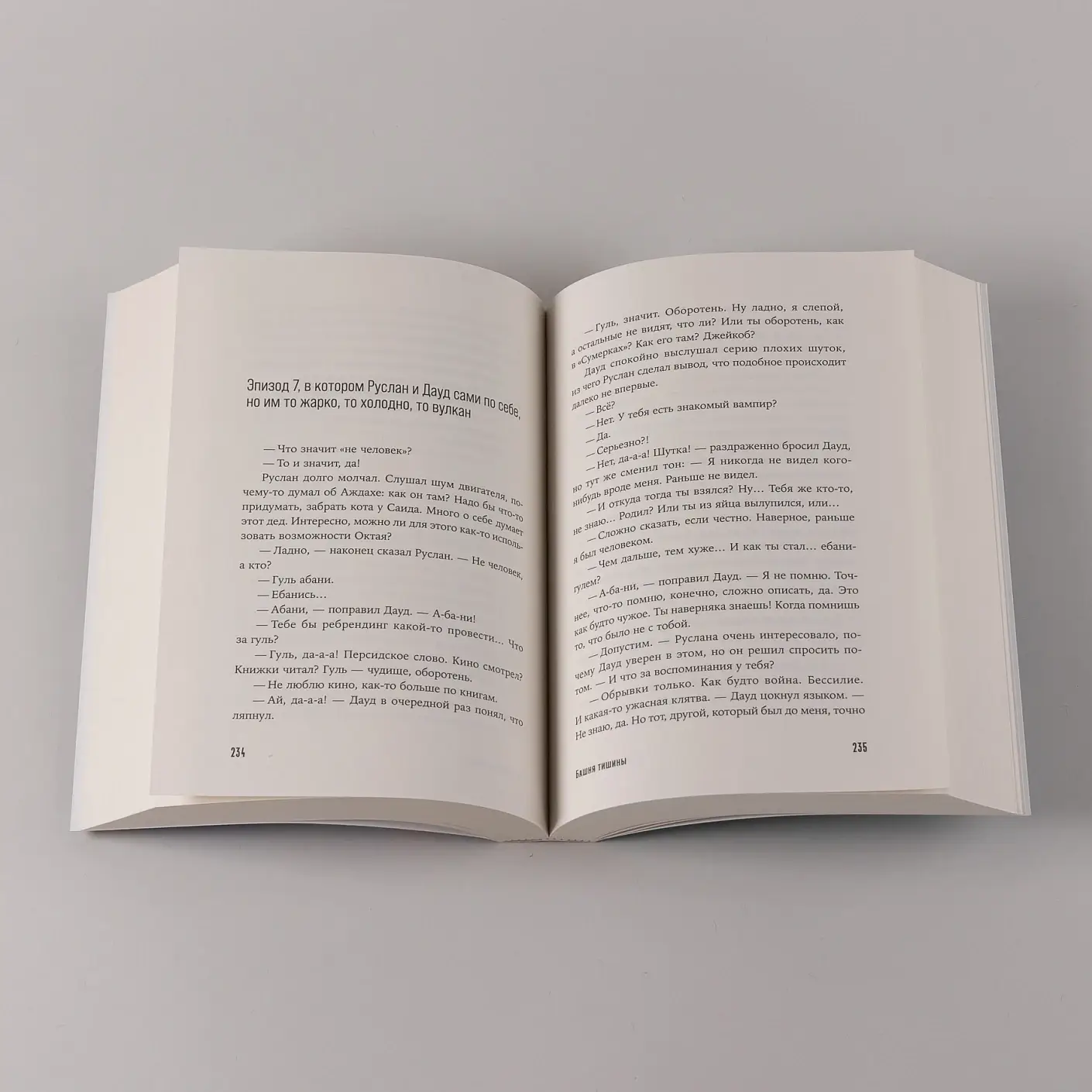 Башня тишины фото книги 4