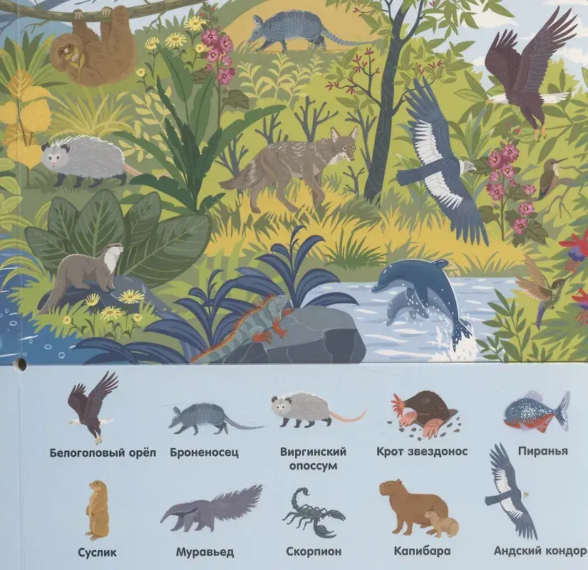 В зоопарке фото книги 4