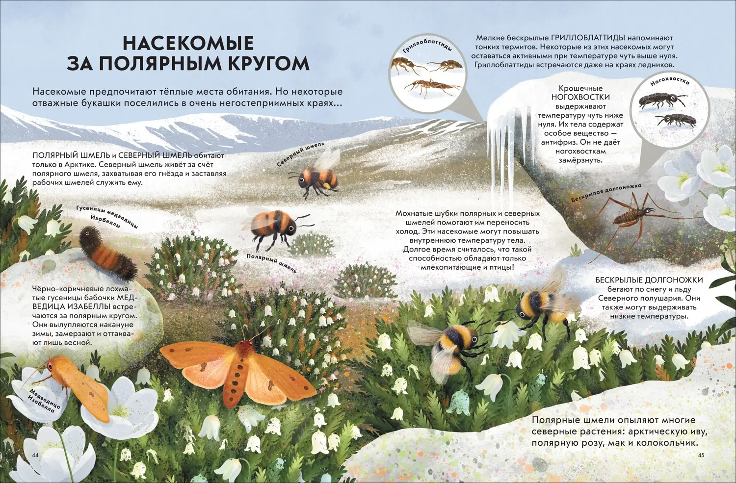 Детская энциклопедия насекомых фото книги 4