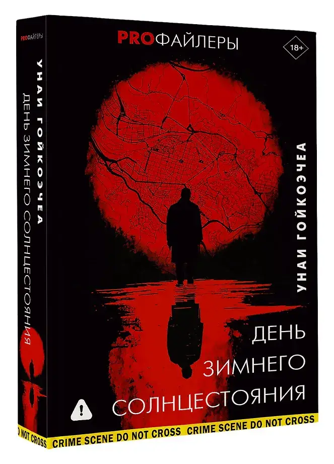 День зимнего солнцестояния фото книги 2