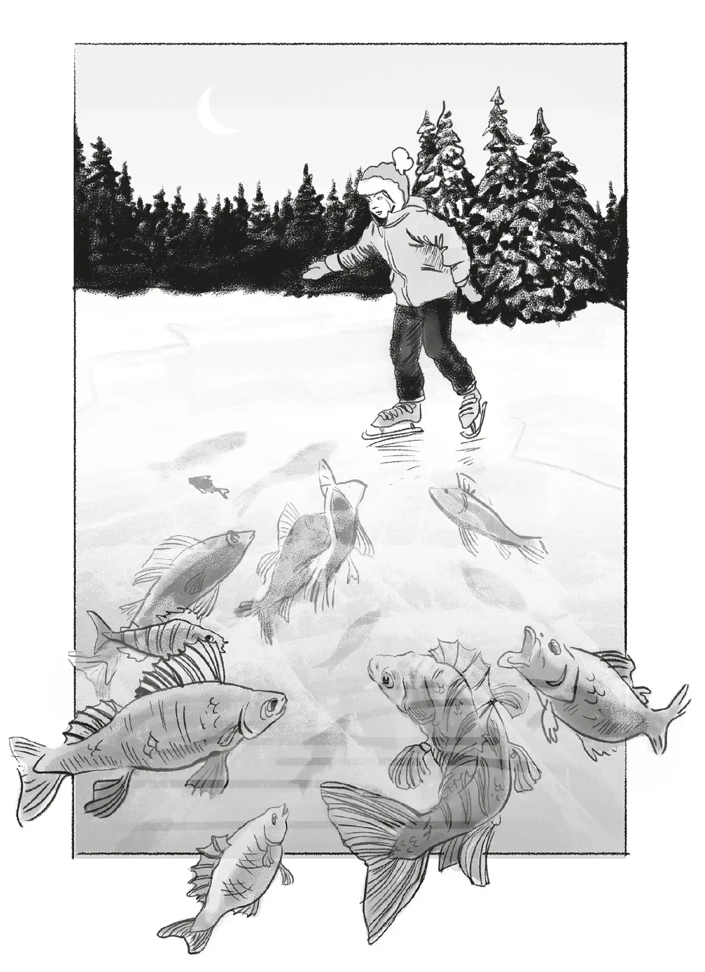 Театр теней фото книги 5