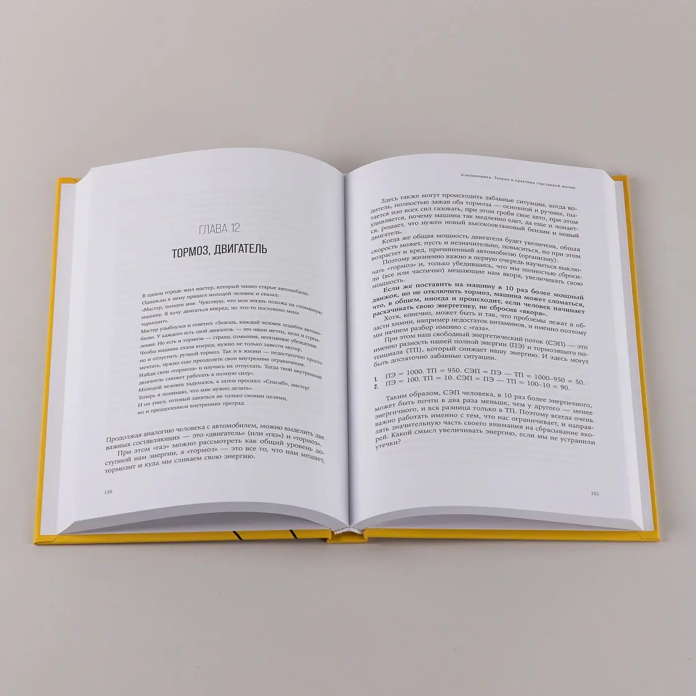 Хэппиномика. Теория и практика счастливой жизни фото книги 5