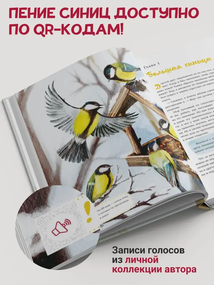 Синицы фото книги 3