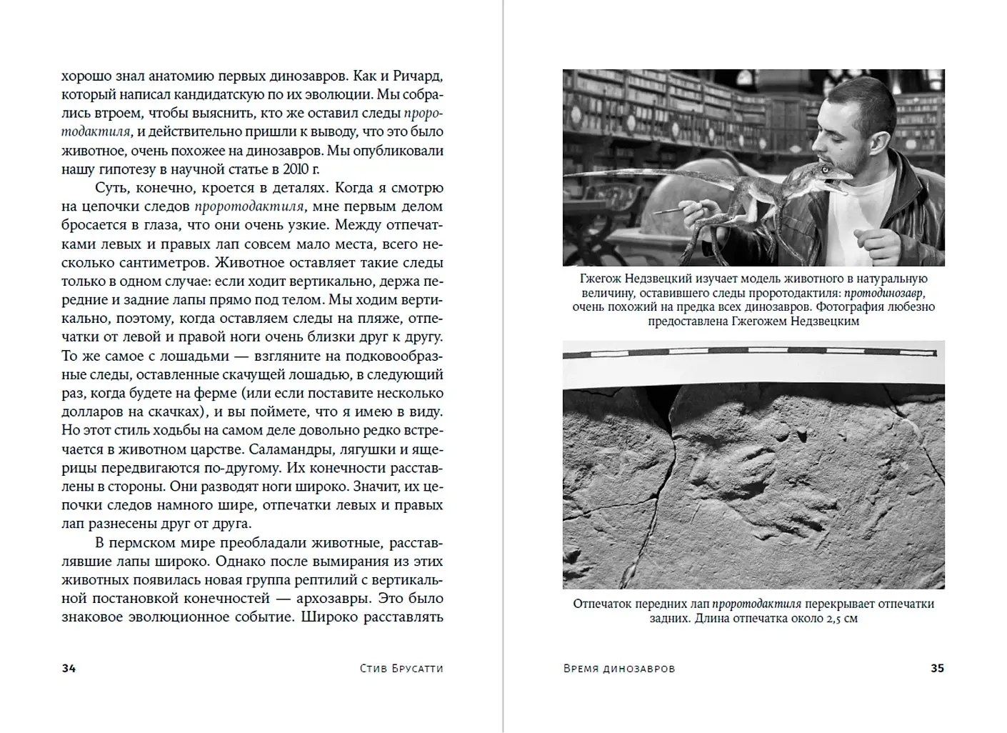Время динозавров. Новая история древних ящеров фото книги 4