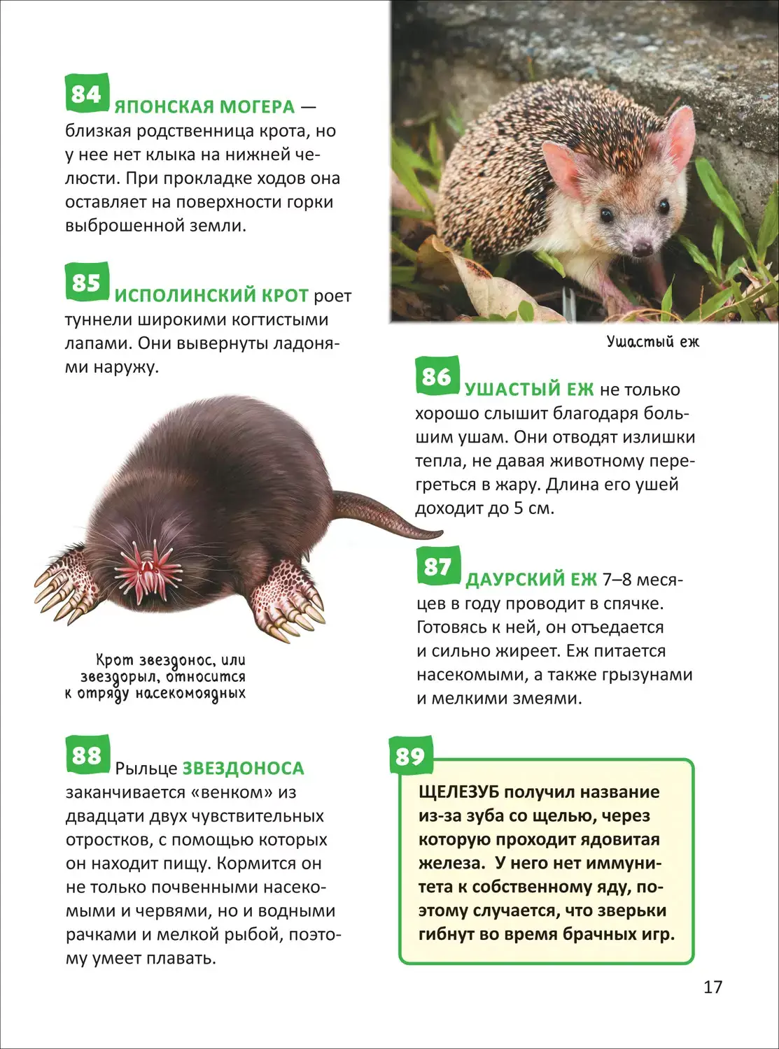 Красная книга. Энциклопедия российского школьника фото книги 5