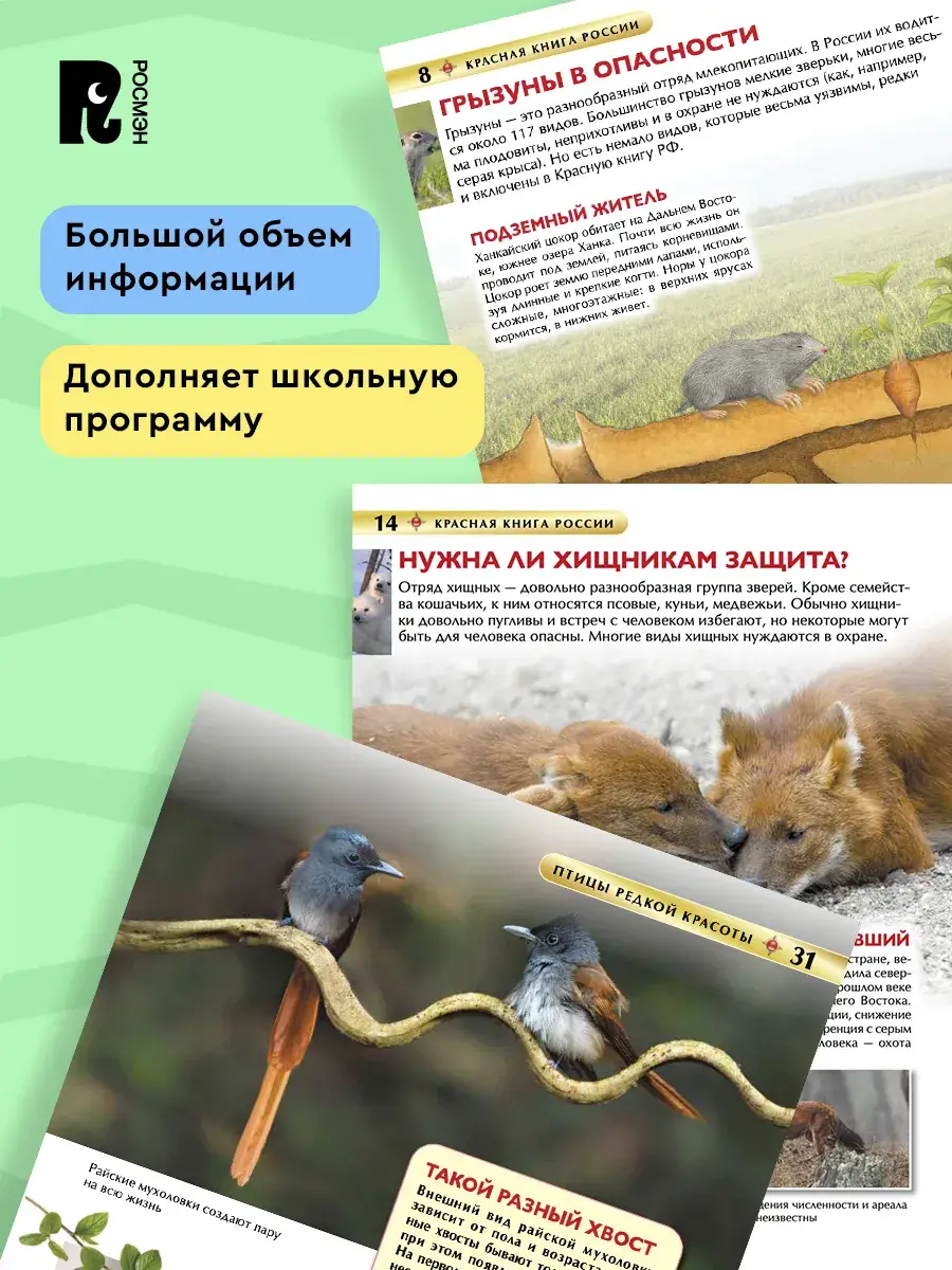Красная книга России. Детская энциклопедия фото книги 5