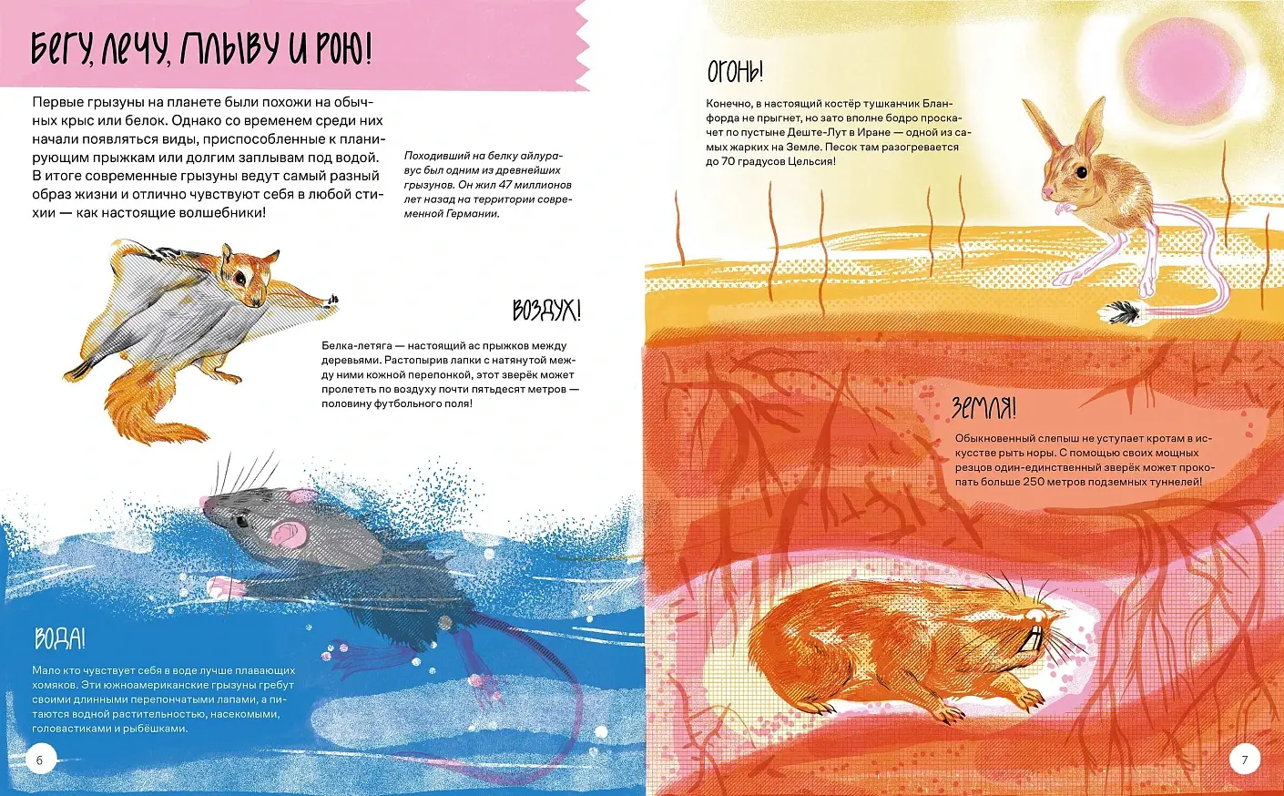 Вот так капибара. Необыкновенные грызуны и их родственники фото книги 2