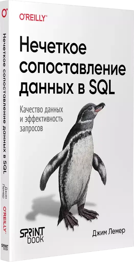 Нечеткое сопоставление данных в SQL фото книги 2