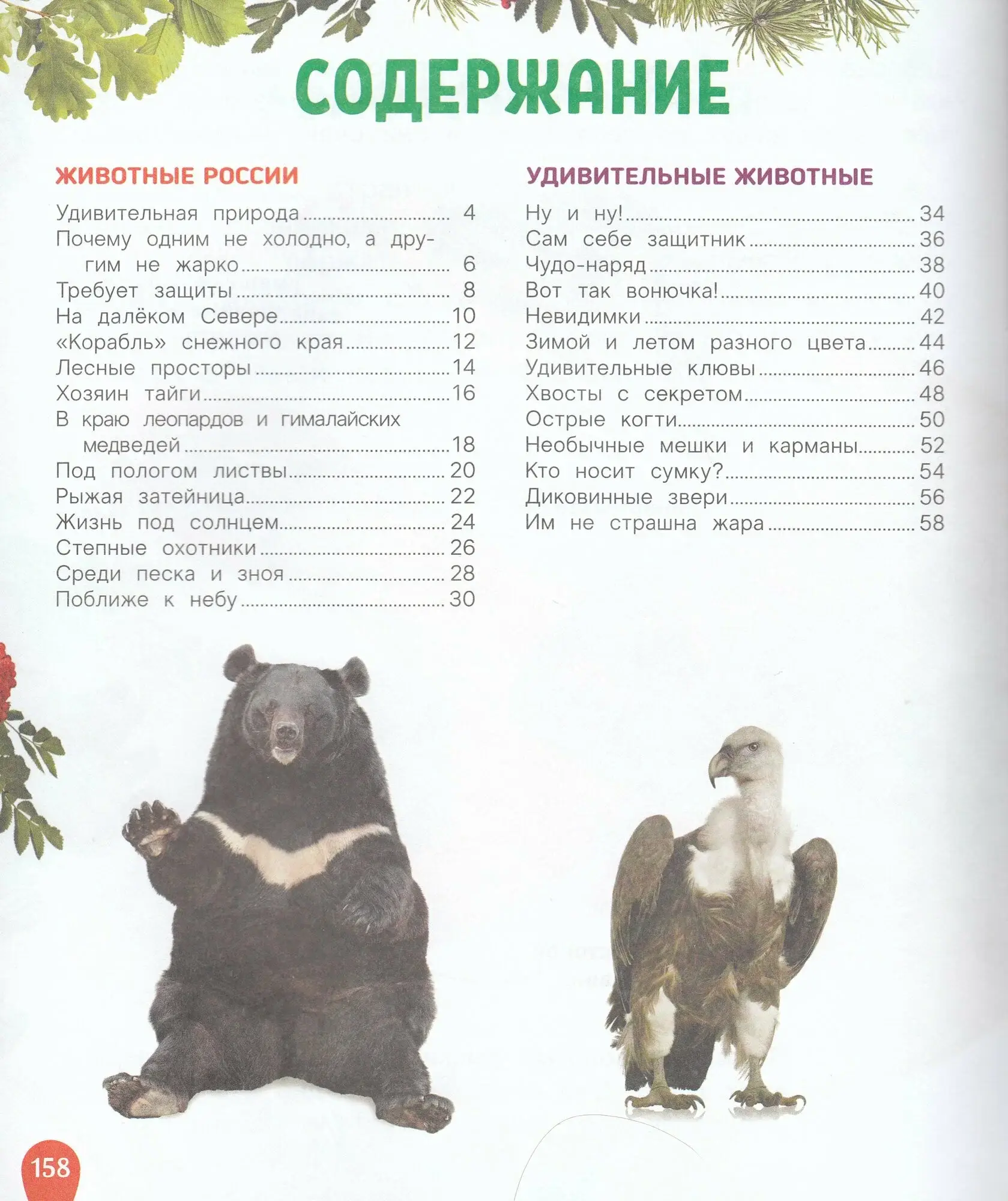 Животные. Лучшая детская энциклопедия фото книги 4