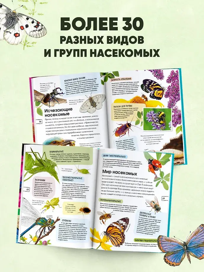 Насекомые фото книги 4