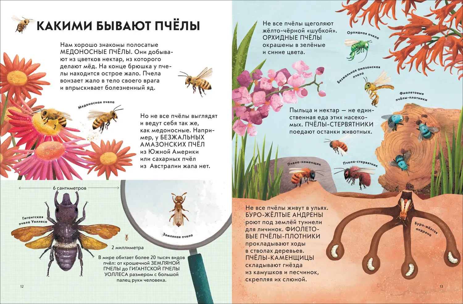 Детская энциклопедия насекомых фото книги 2