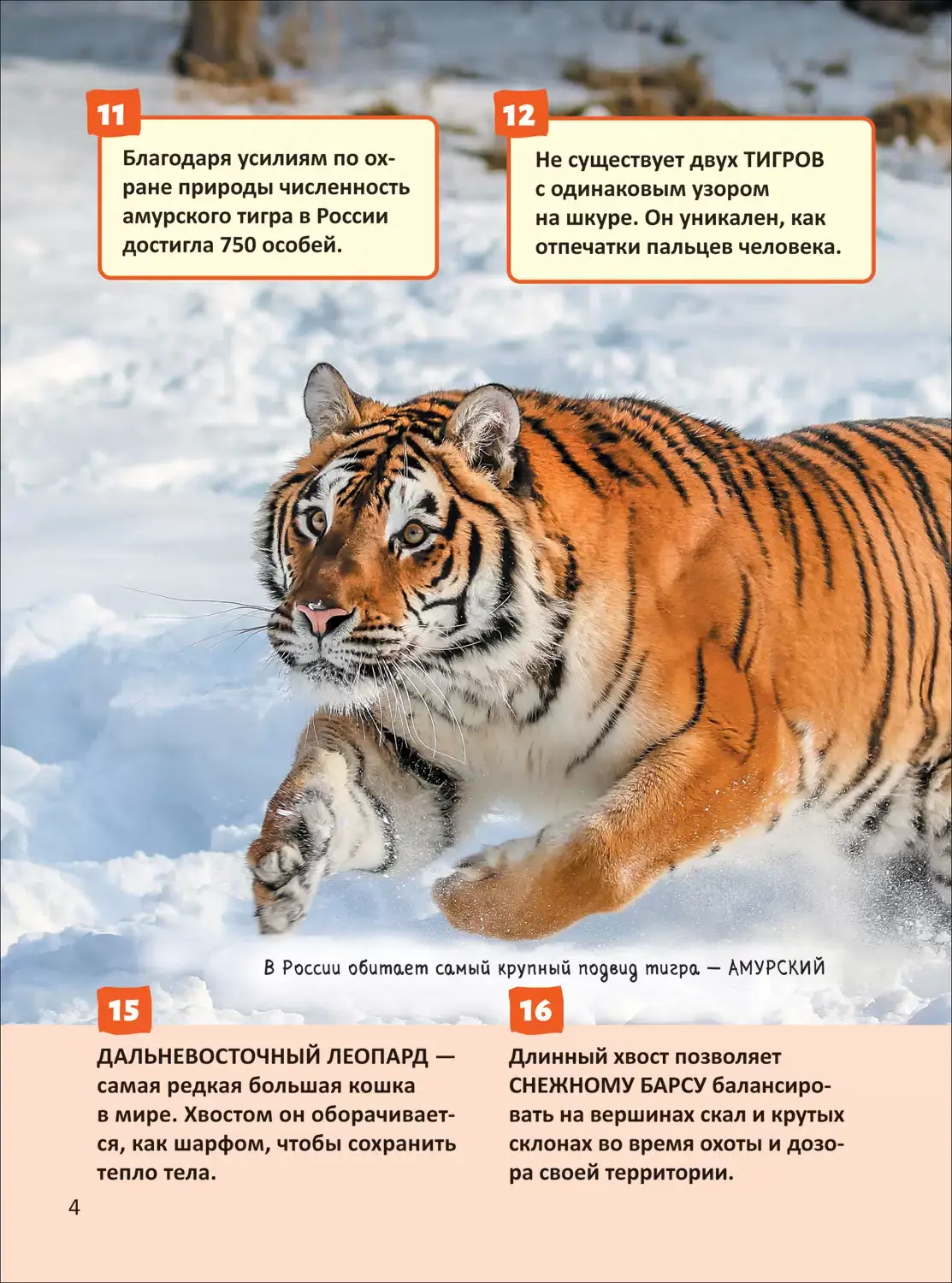 Красная книга. Энциклопедия российского школьника фото книги 2