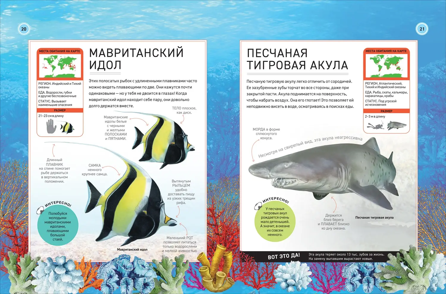 Подводный мир. Полная энциклопедия фото книги 2