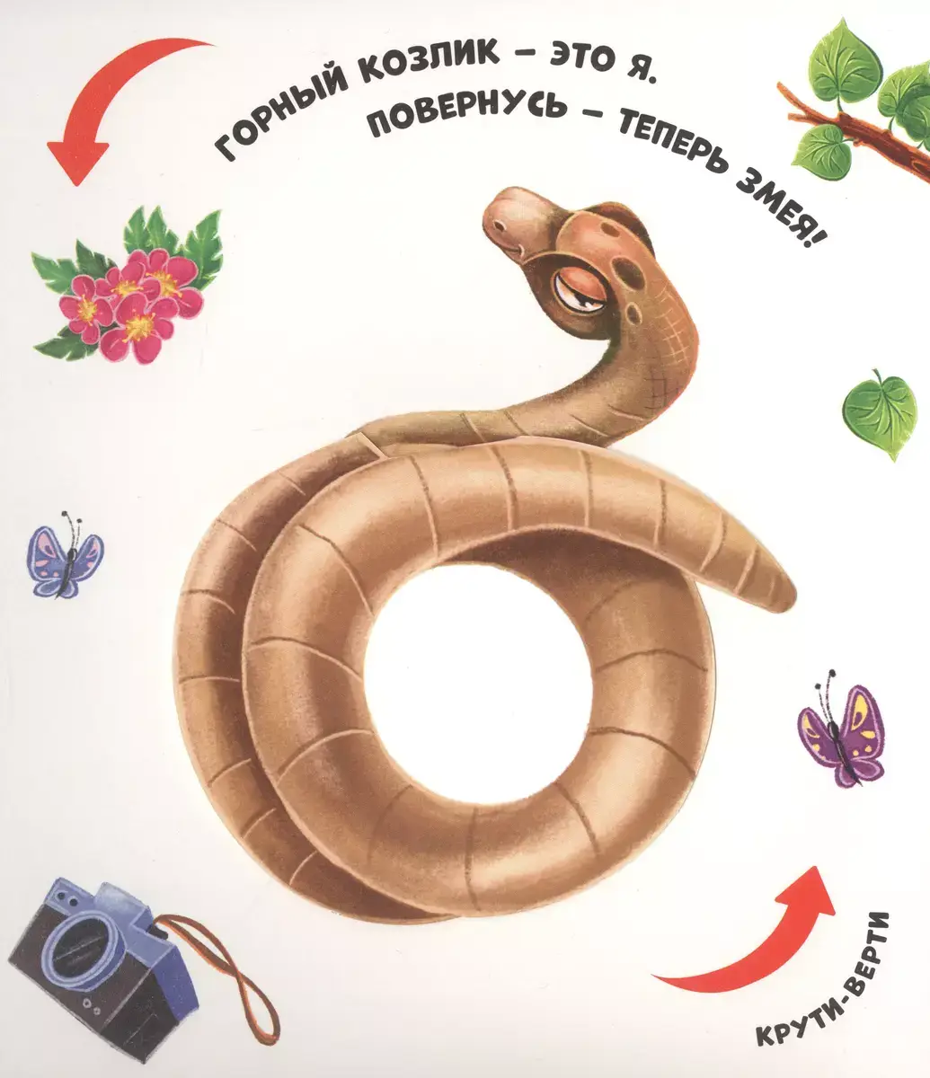 Чудесные превращения. Превращения в зоопарке фото книги 4