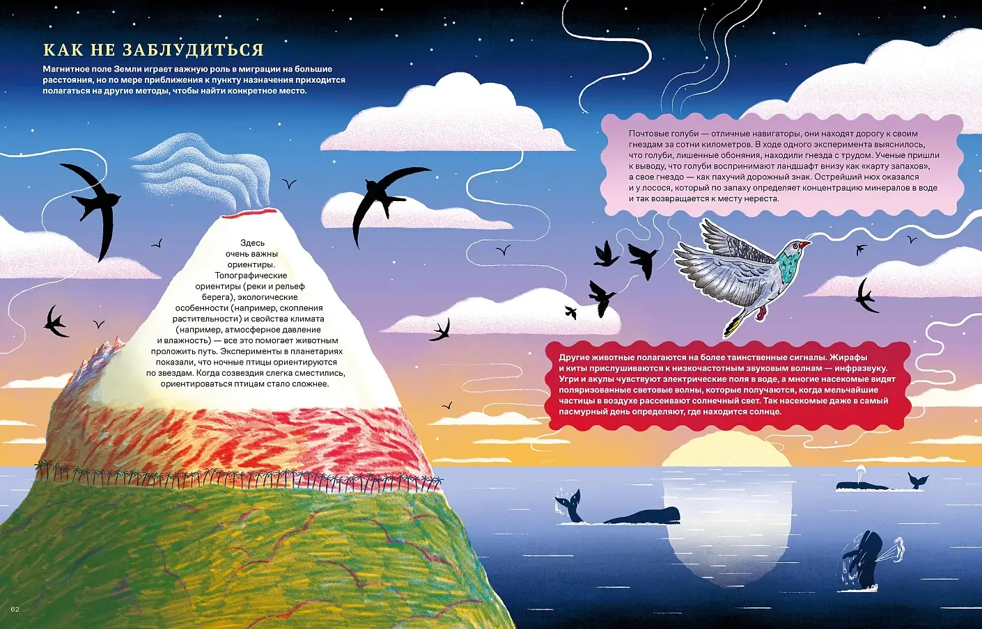 Невероятные странствия животных. Навигация и миграция по воздуху, суше и морю фото книги 5