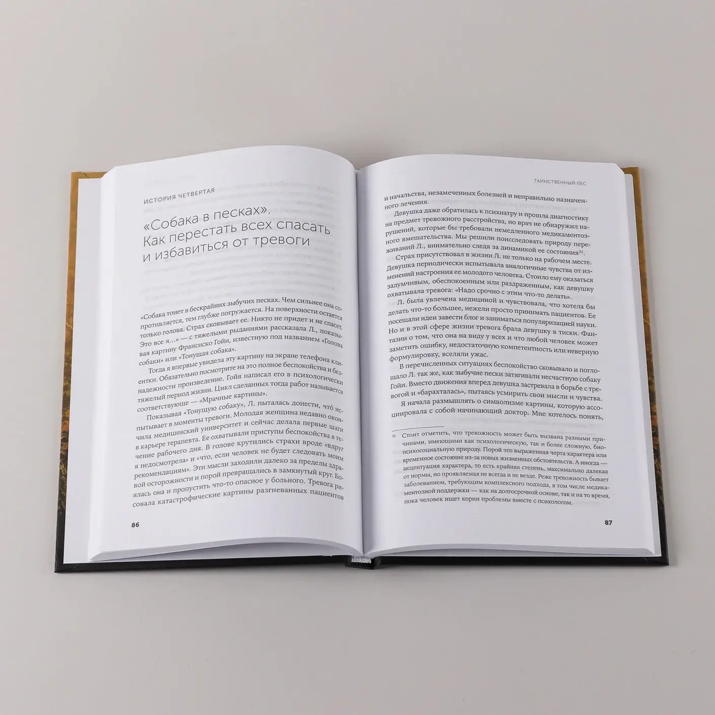 Таинственный лес: Как диалог с бессознательным помогает выйти из жизненного тупика фото книги 5