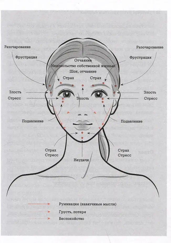 Японский метод молодости и красоты. Массаж и гимнастика для лица фото книги 4