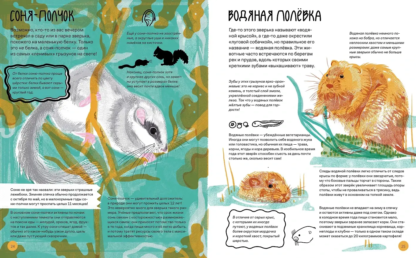 Вот так капибара. Необыкновенные грызуны и их родственники фото книги 4