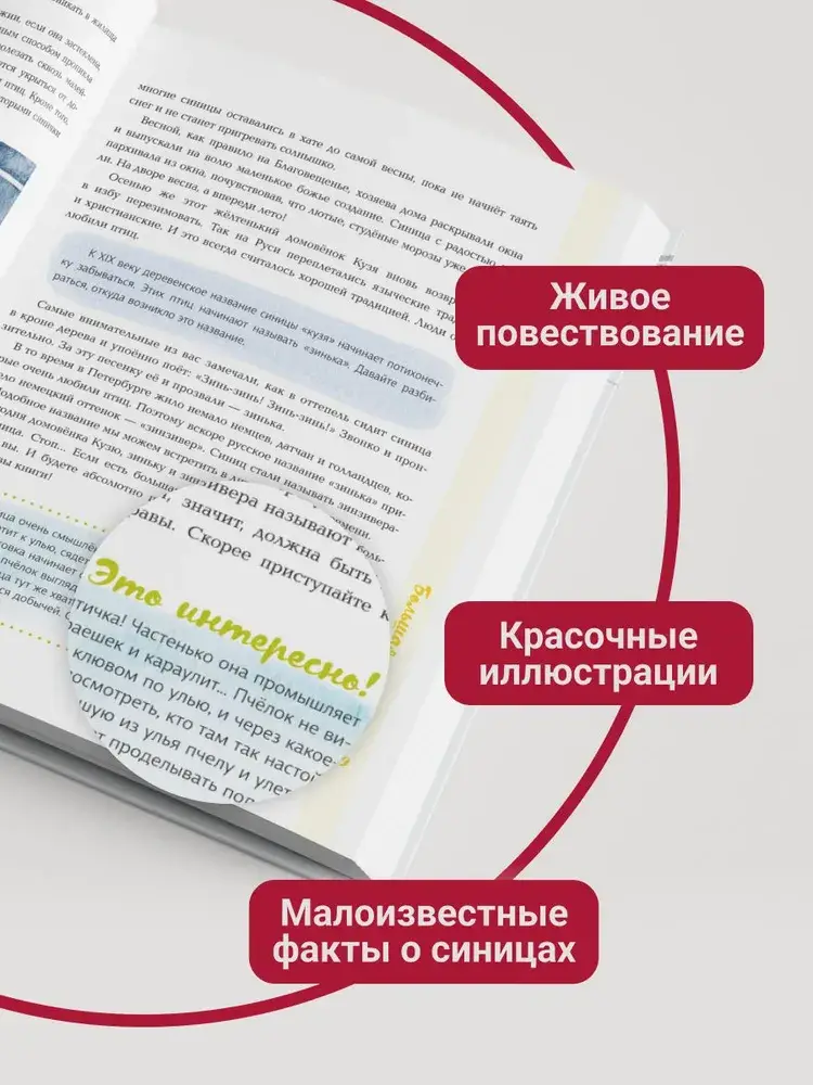 Синицы фото книги 4