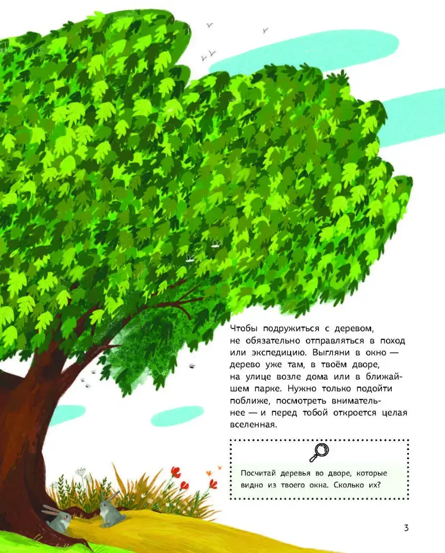 Как зовут твое дерево? фото книги 3
