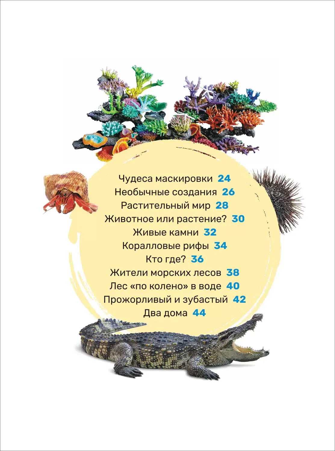 Подводный мир. Первая энциклопедия малыша фото книги 3