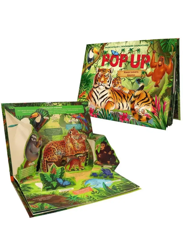 Джунгли. Книжка панорамка фото книги 2