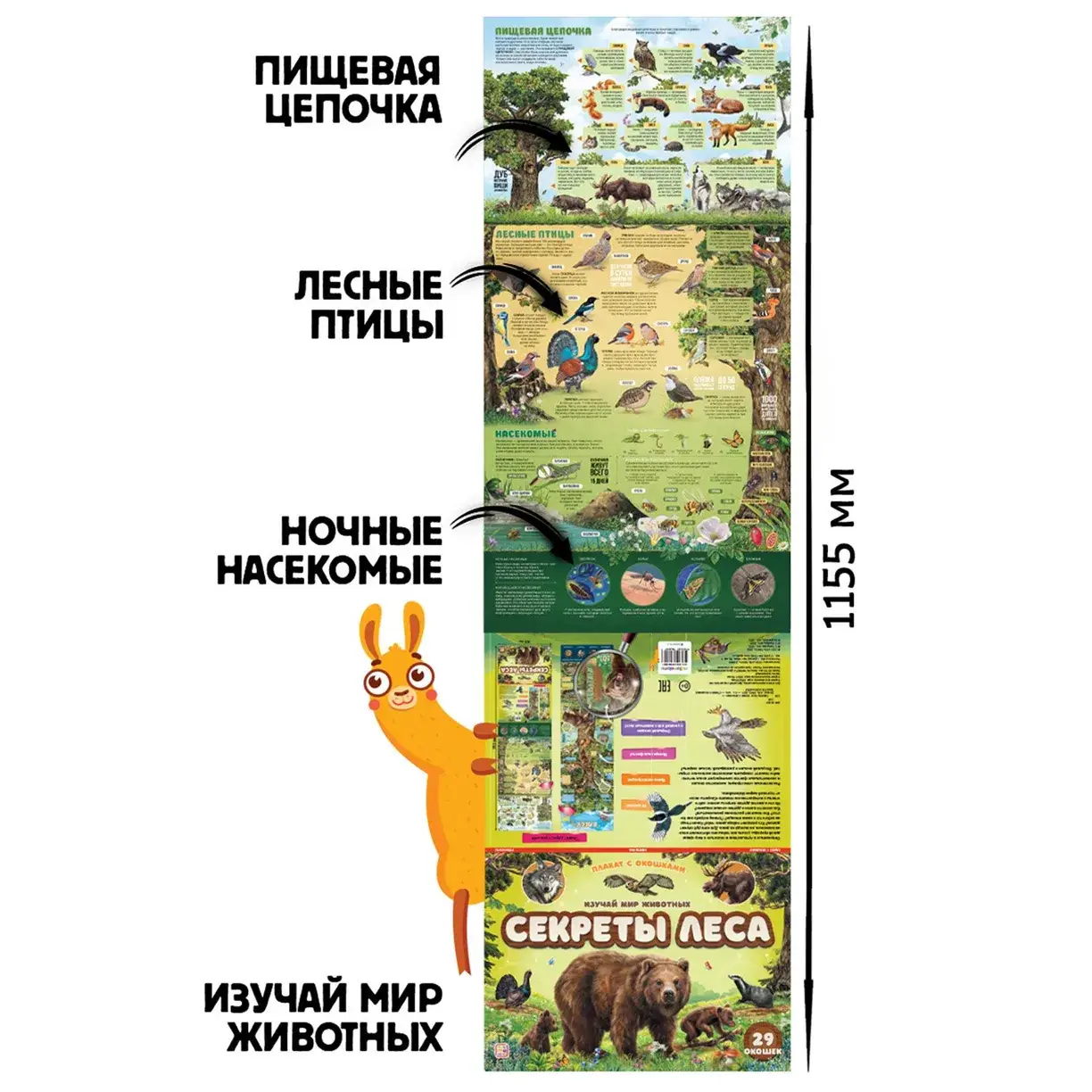 Секреты леса. Плакат с окошками фото книги 3