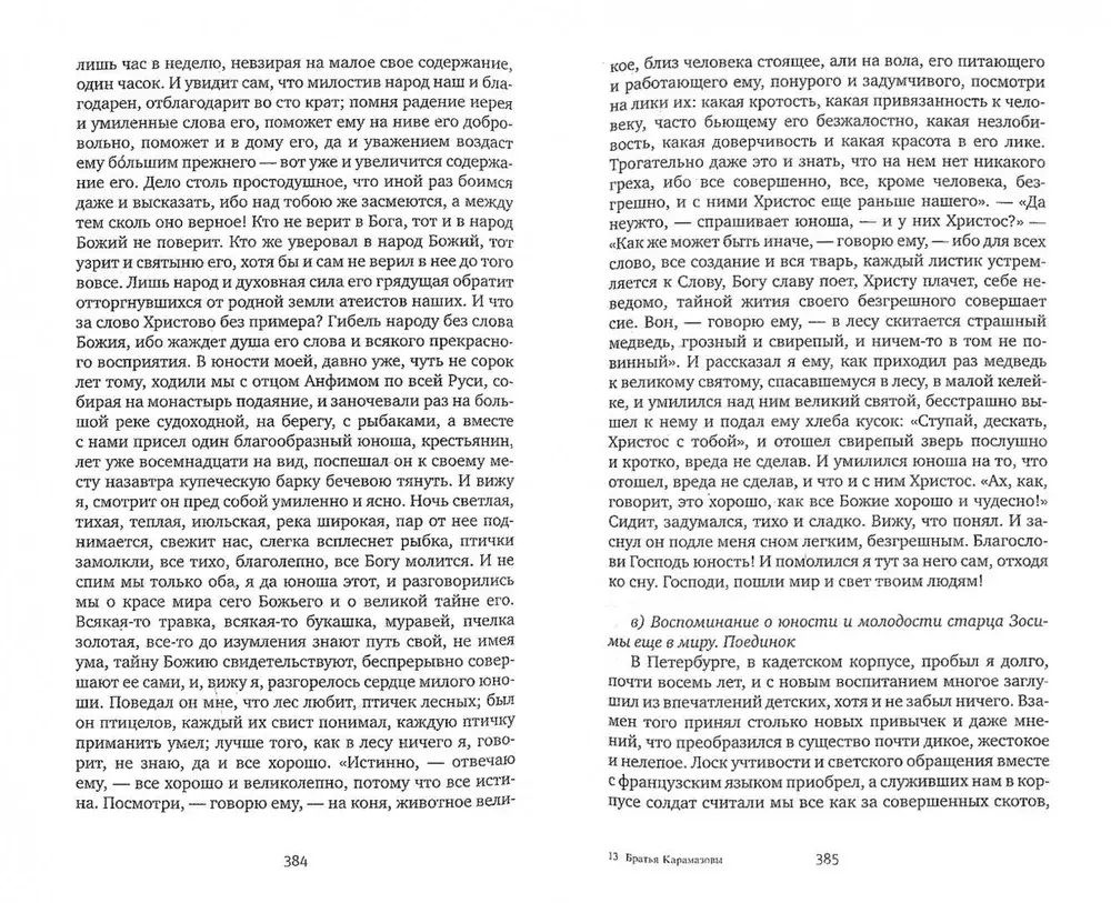 Братья Карамазовы фото книги 2