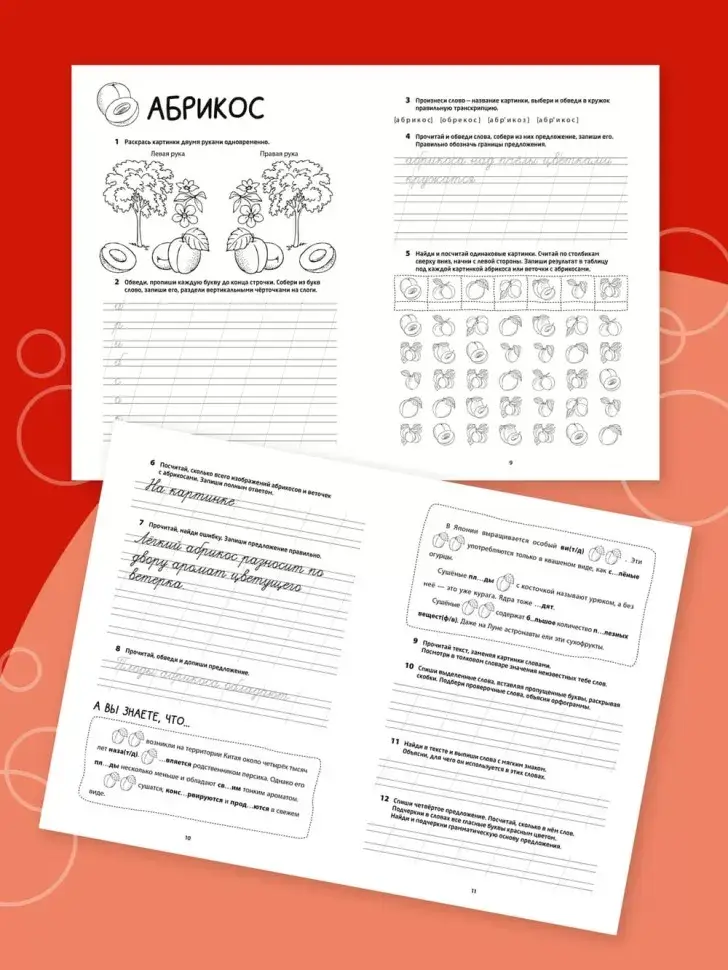 Рабочая тетрадь «Логоментальные прописи и тренажеры для начальной школы. Деревья и кустарники». Обучение чтению и письму. Нейропрописи фото книги 12