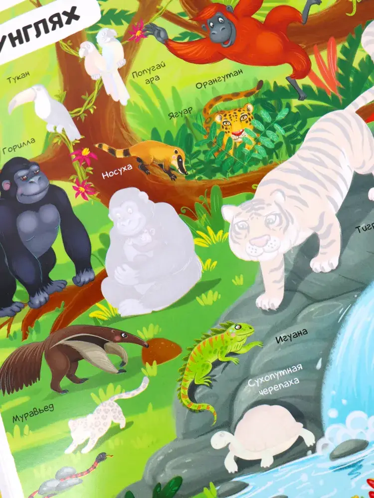 Многоразовые наклейки. Животные фото книги 3