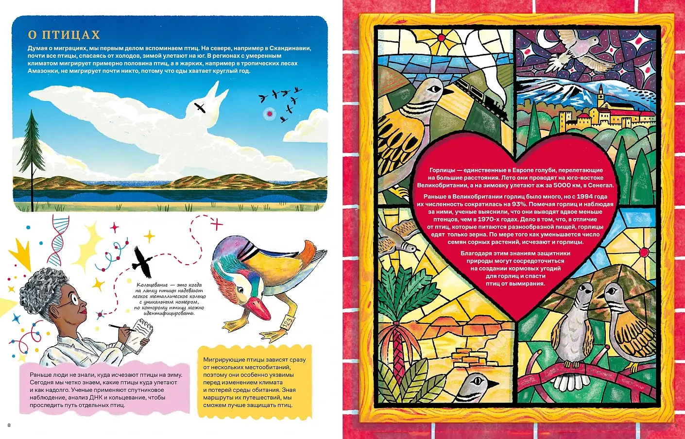 Невероятные странствия животных. Навигация и миграция по воздуху, суше и морю фото книги 2