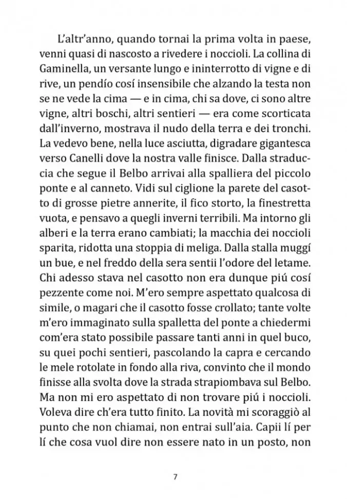 La luna e i falo. La bella estate / Луна и костры. Прекрасное лето фото книги 4