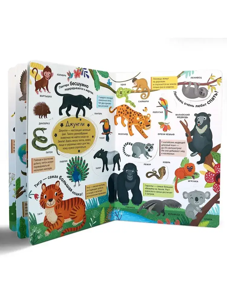 Мой первый словарь. Живая природа фото книги 3