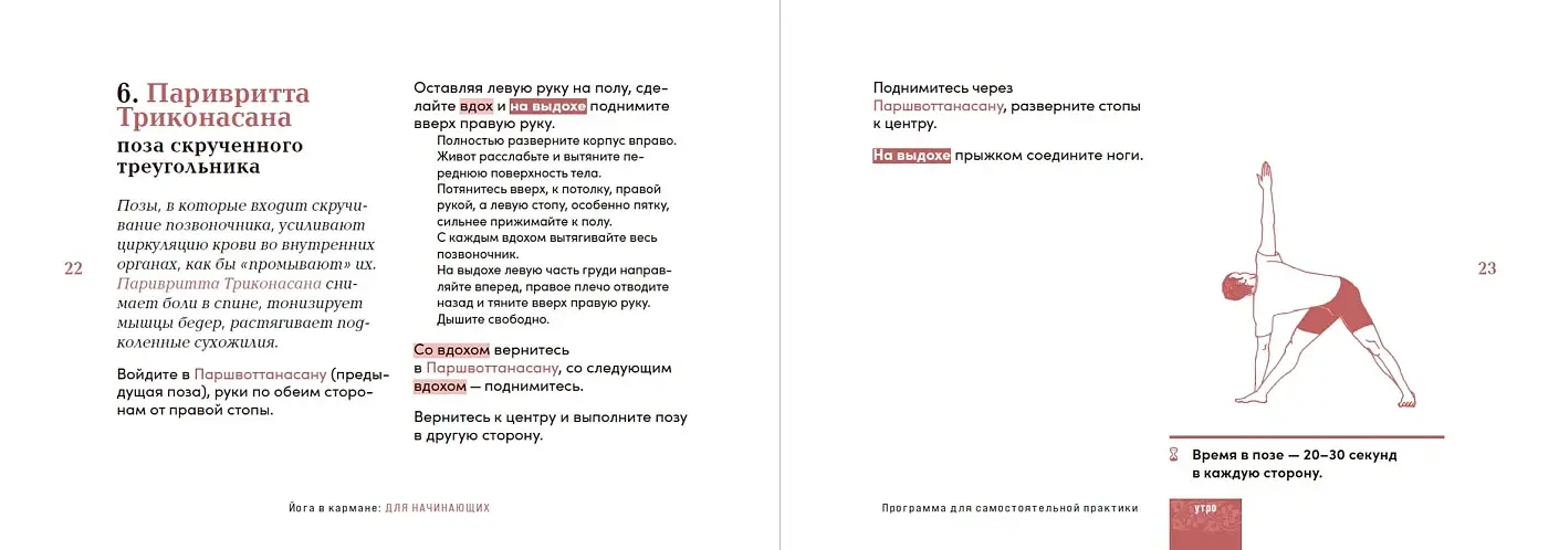 Йога в кармане. Руководство по самостоятельной практике для начинающих фото книги 3
