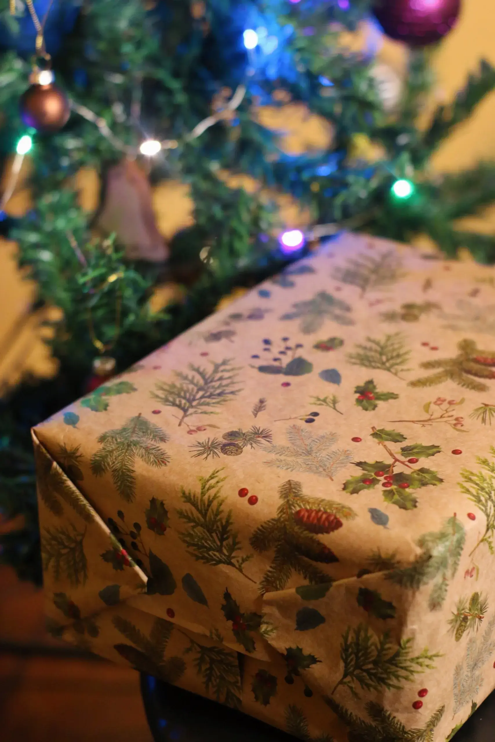 Бокс “Синьорина Корица” фото книги 3