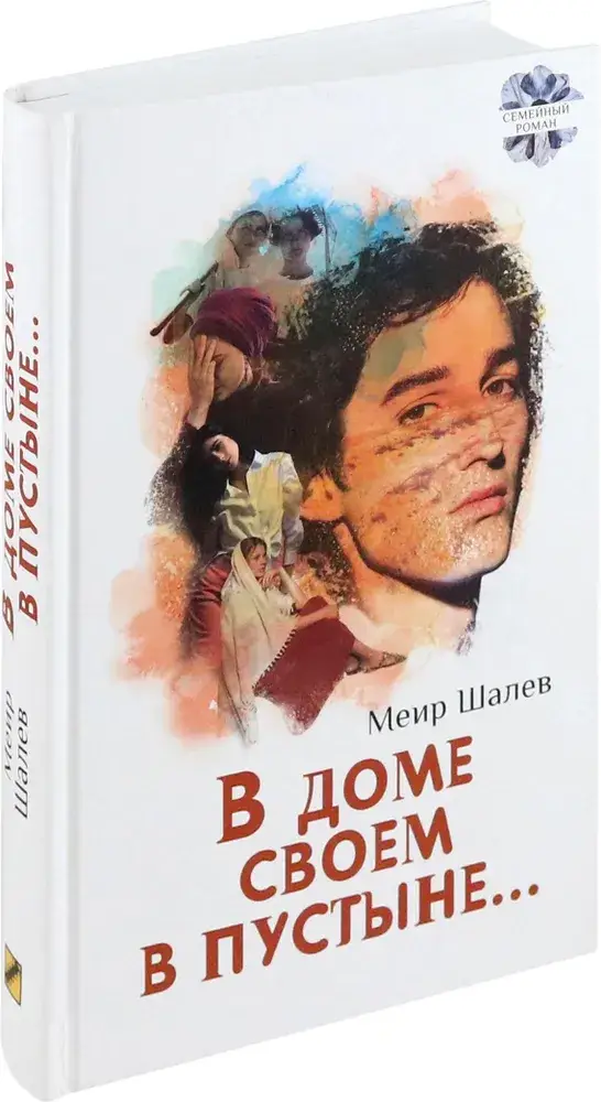 В доме своем в пустыне фото книги 2