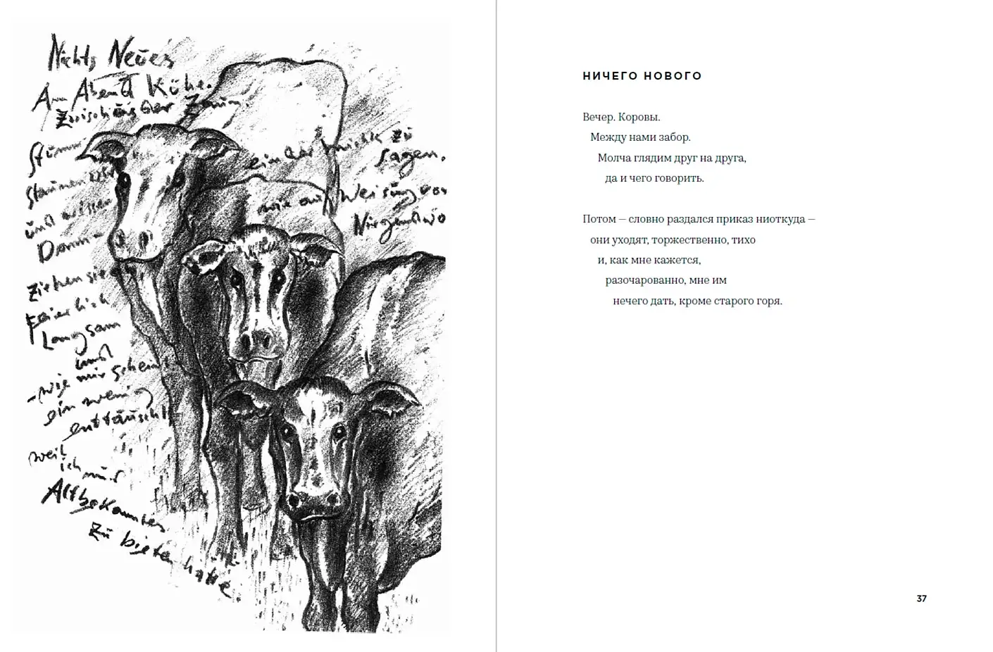 Глупый август фото книги 3