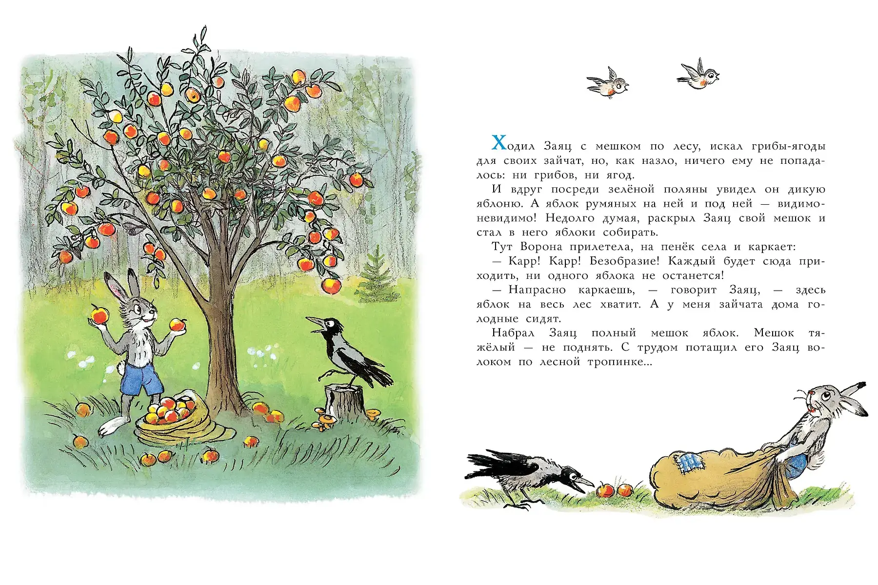 Мешок яблок. Рисунки автора фото книги 3
